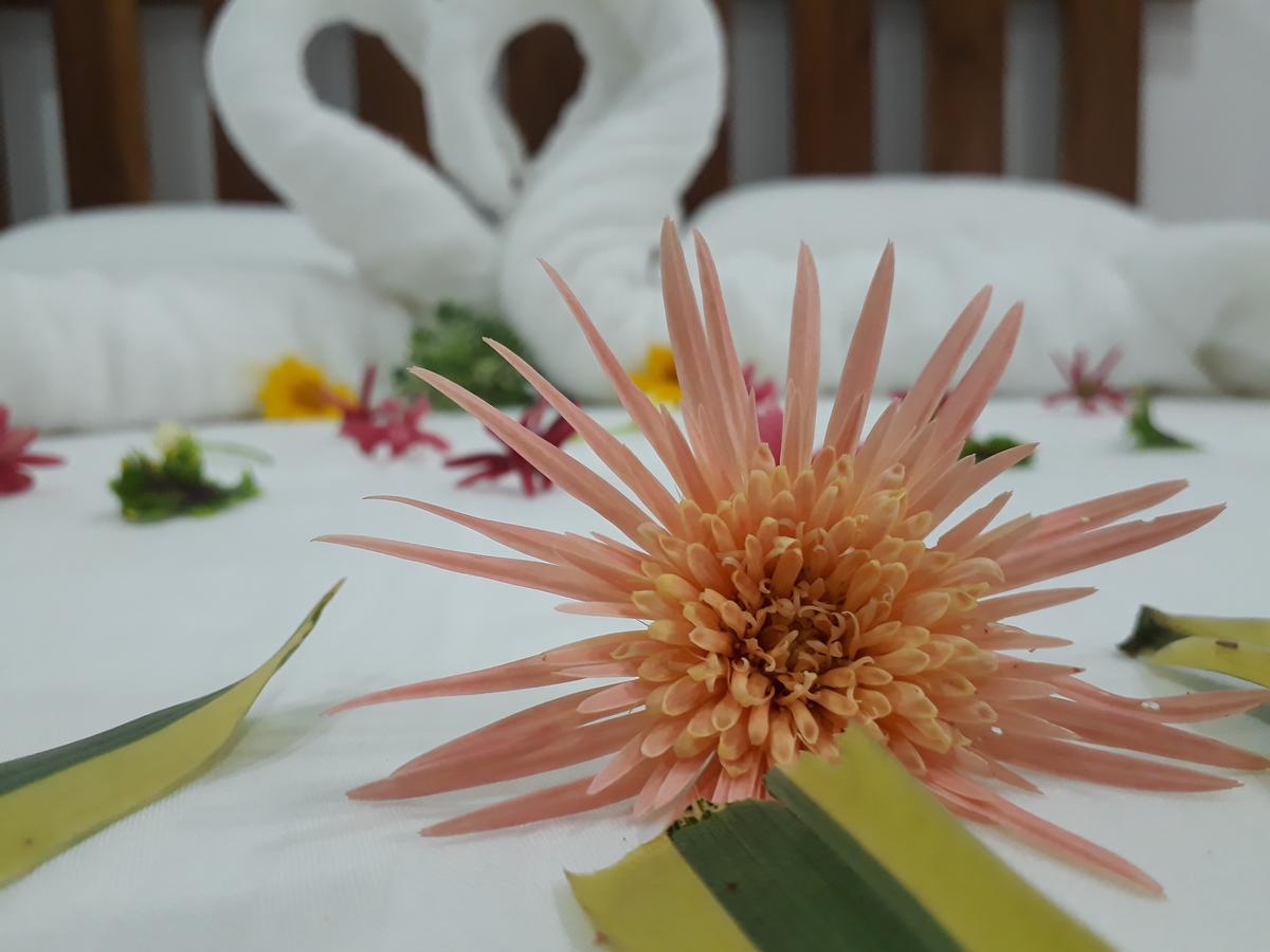 Akila Holiday Resort 하바라나 외부 사진