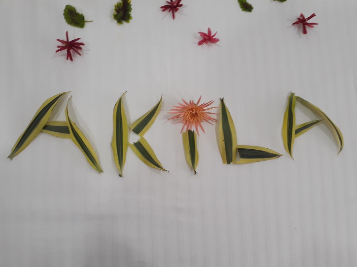 Akila Holiday Resort 하바라나 외부 사진